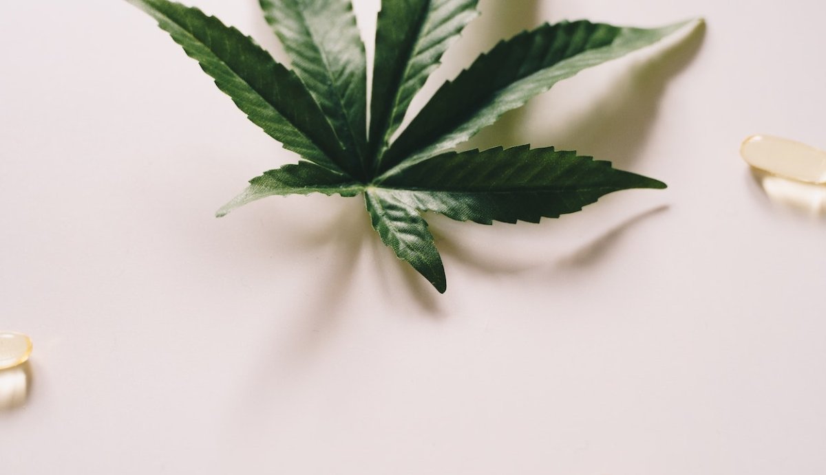 Can You Be Allergic to CBD Oil? (Symptoms to Look For) - VO Inc