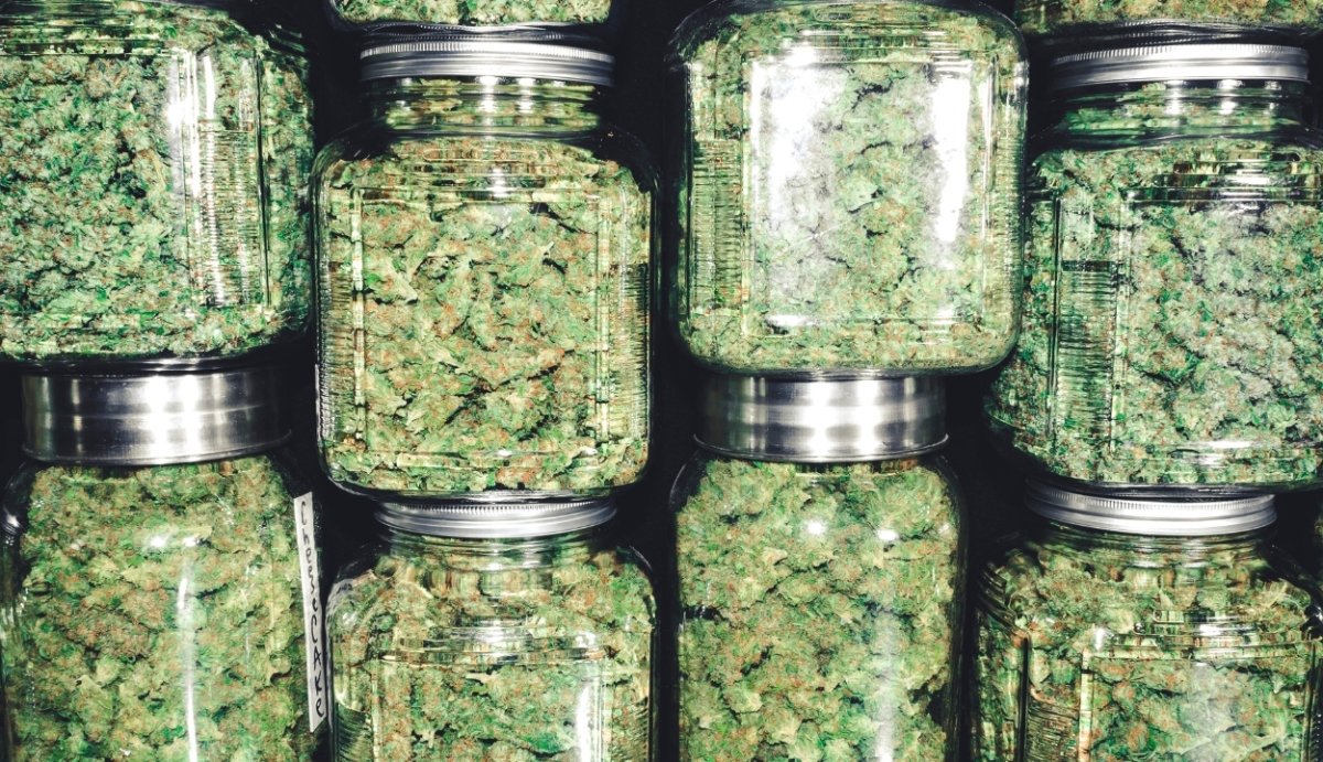 Can You Take THC-O Everyday? - VO Inc