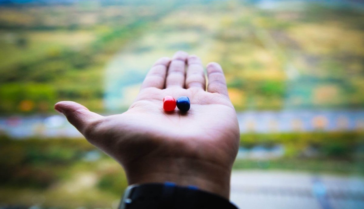 Do Different Types of CBD Edibles Absorb in Different Ways? - VO Inc
