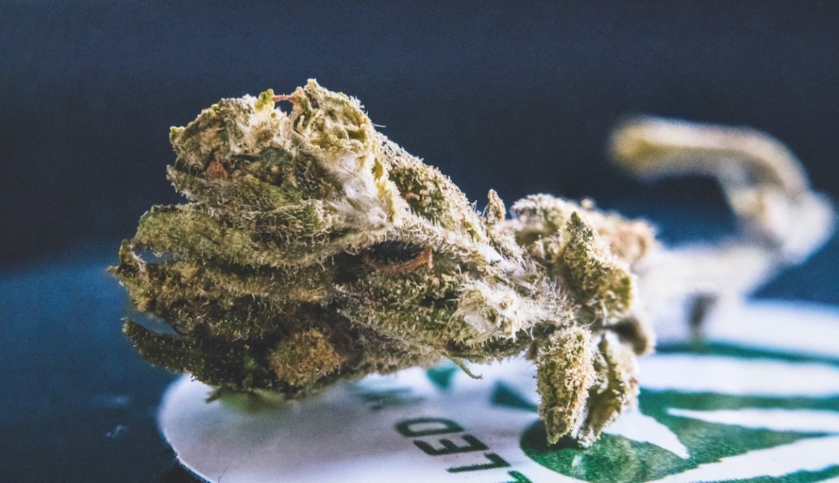 How Long Does Delta-10 Stay in Your System? (Is it the Same as Delta-9) - VO Inc