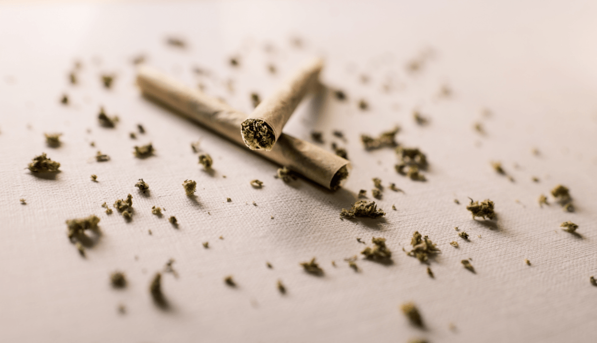 Does Delta-8 Stay in Your System as Long as Delta-9?  - VO Inc