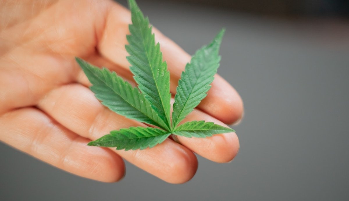 How is Hemp-Derived Delta-9 Made?  - VO Inc