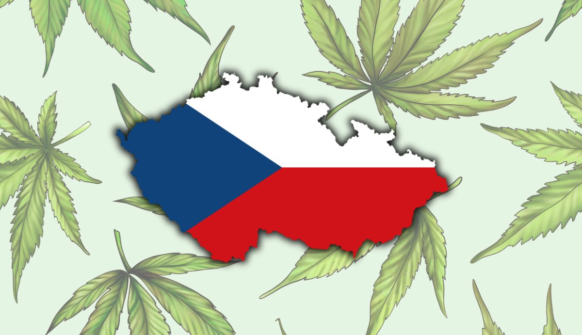 Is Delta 8 Legal in the Czech Republic? (Laws + Travel Regulations) - VO Inc