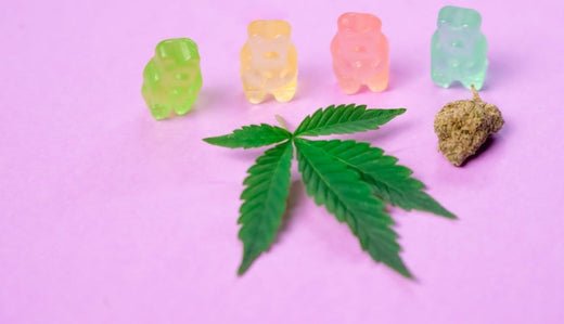 Is Delta-9 Regular Weed? A Guide (2025) - VO Inc