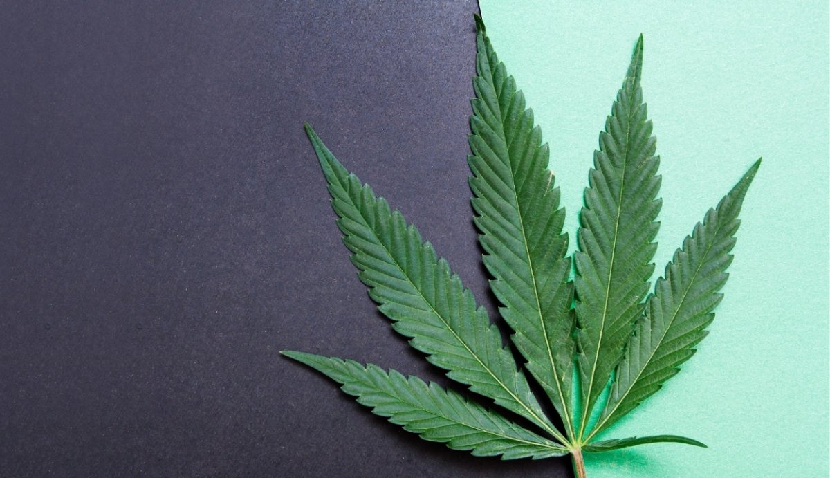 Is THC-O Synthetic? - VO Inc