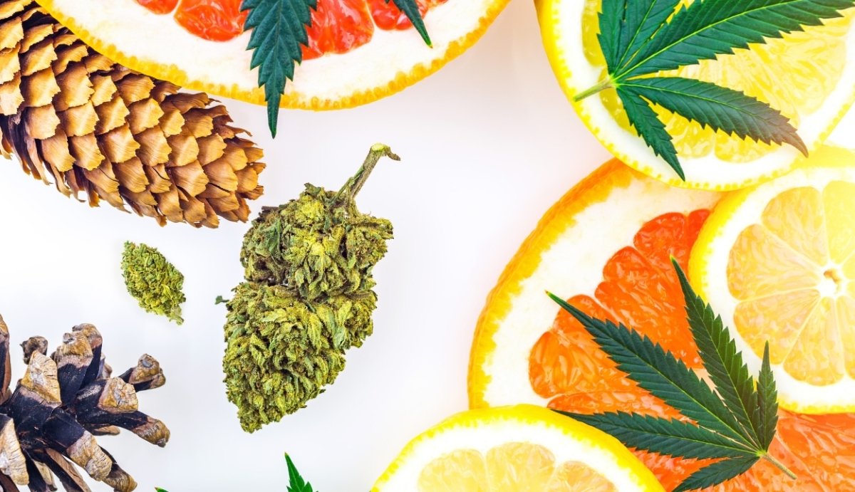 THC-O With Terpenes - VO Inc