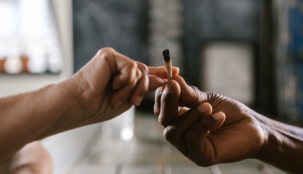 THCa vs Delta-9: Understanding the Difference and Choosing the Best Option - VO Inc
