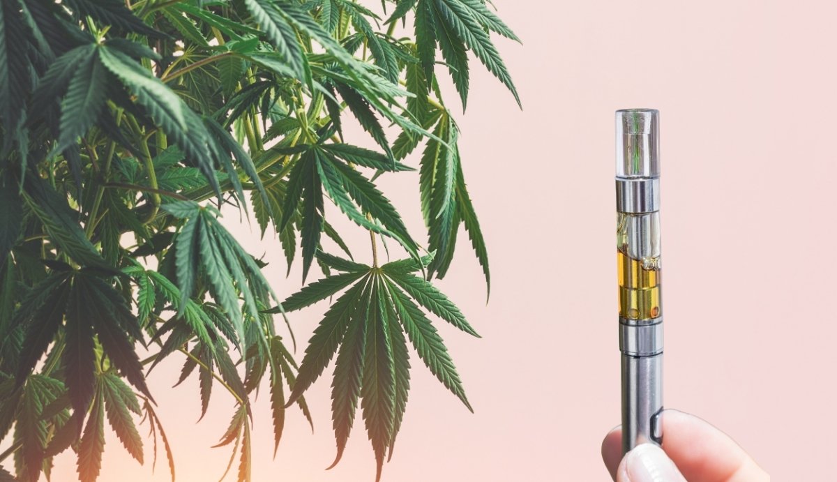 Why is THC-O Legal? - VO Inc