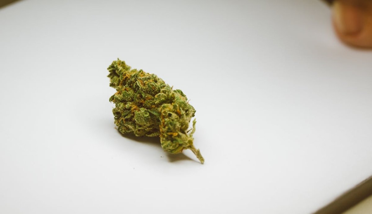 Average Cost of Marijuana by State & Highs/Lows Analysis - VO Inc