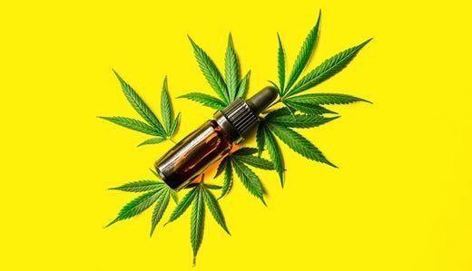 Best Time to Take CBN (Can You Take CBN During the Day?) - VO Inc