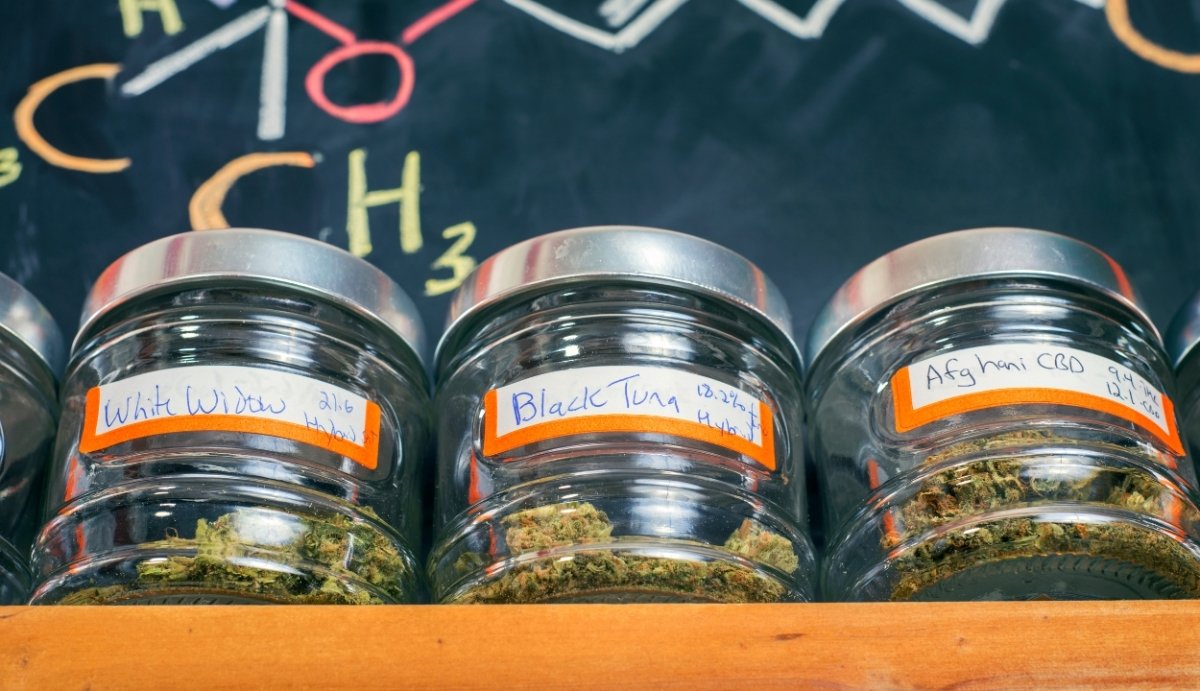 Can You Buy THC-O in a Dispensary? - VO Inc