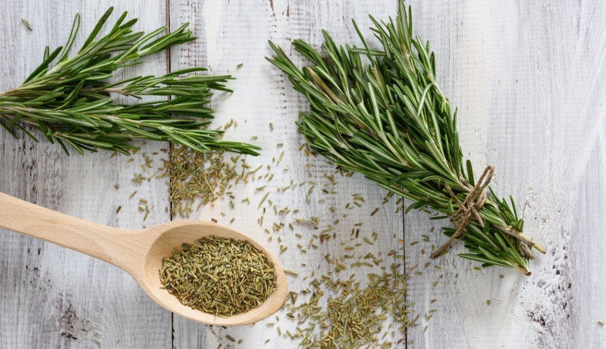 Can You Smoke Rosemary? Health Benefits + How To Prepare It