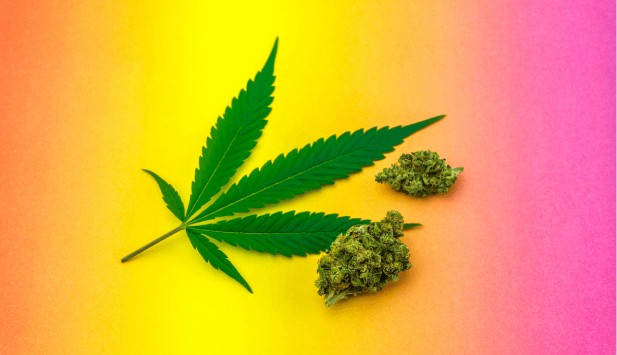 Can You Take Delta-8 and Delta-9 Together? - VO Inc