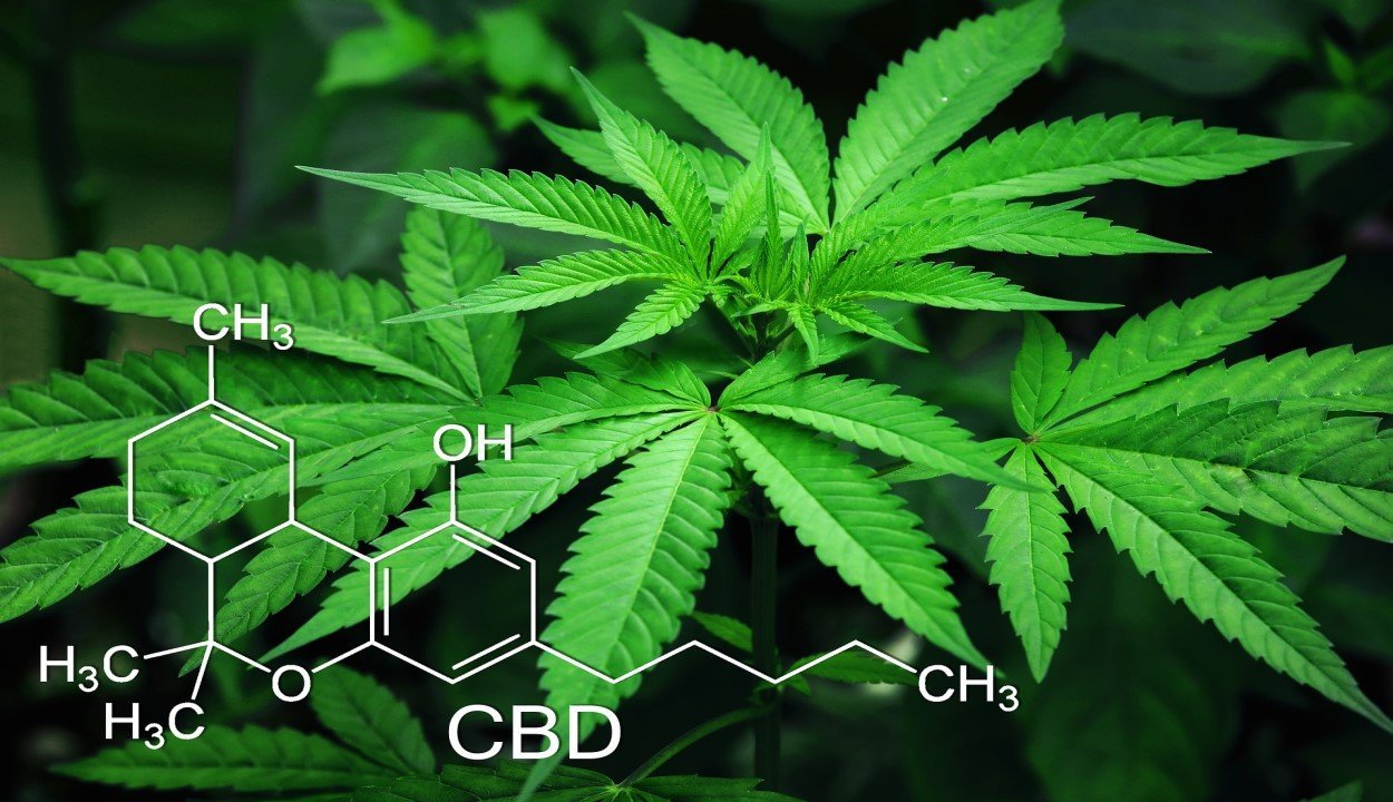 Cannabidiol (CBD) - VO Inc