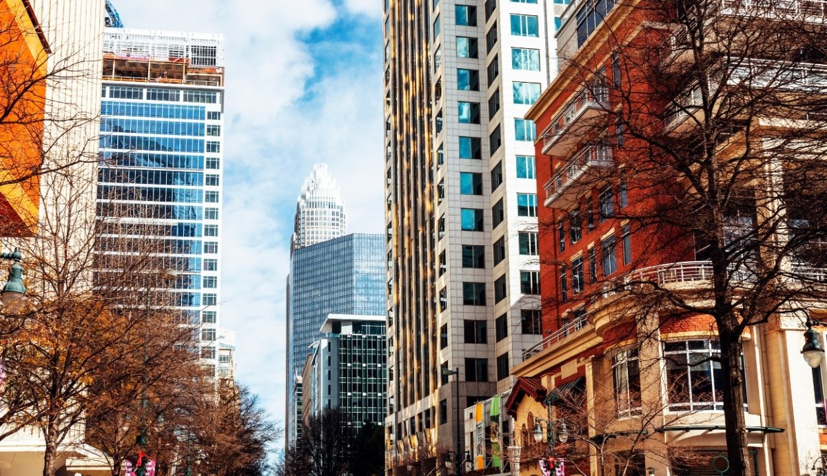 CBD Near Me | Charlotte - VO Inc