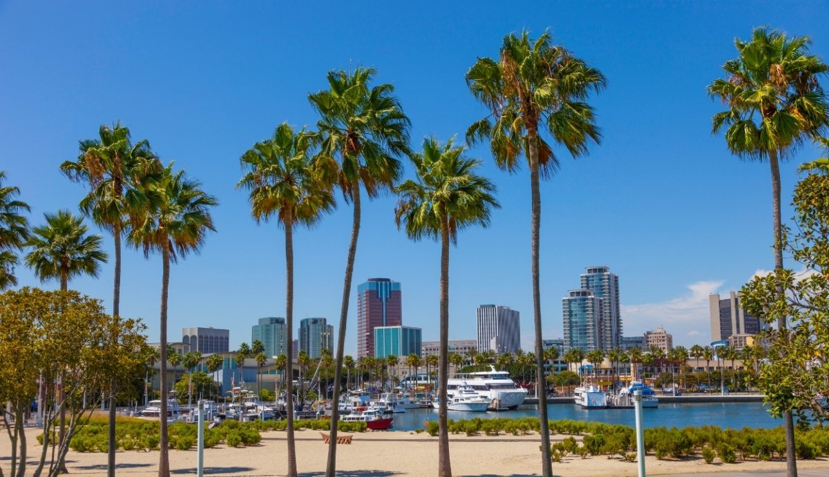 CBD Near Me | Long Beach - VO Inc