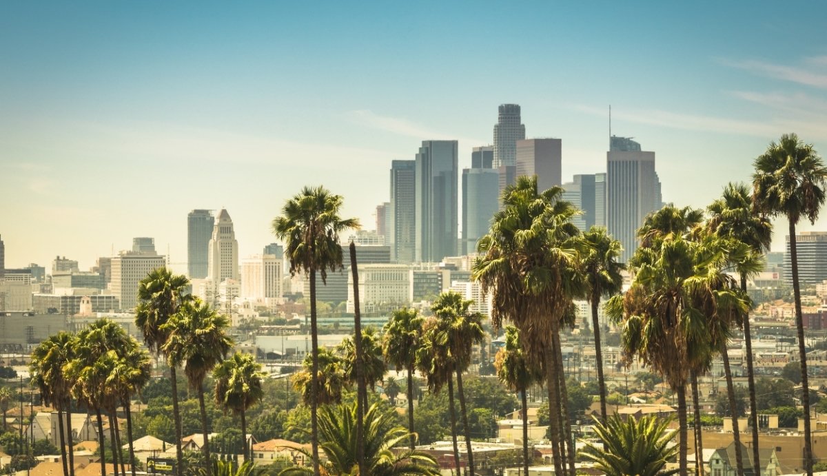 CBD Near Me | Los Angeles - Vida Optima™