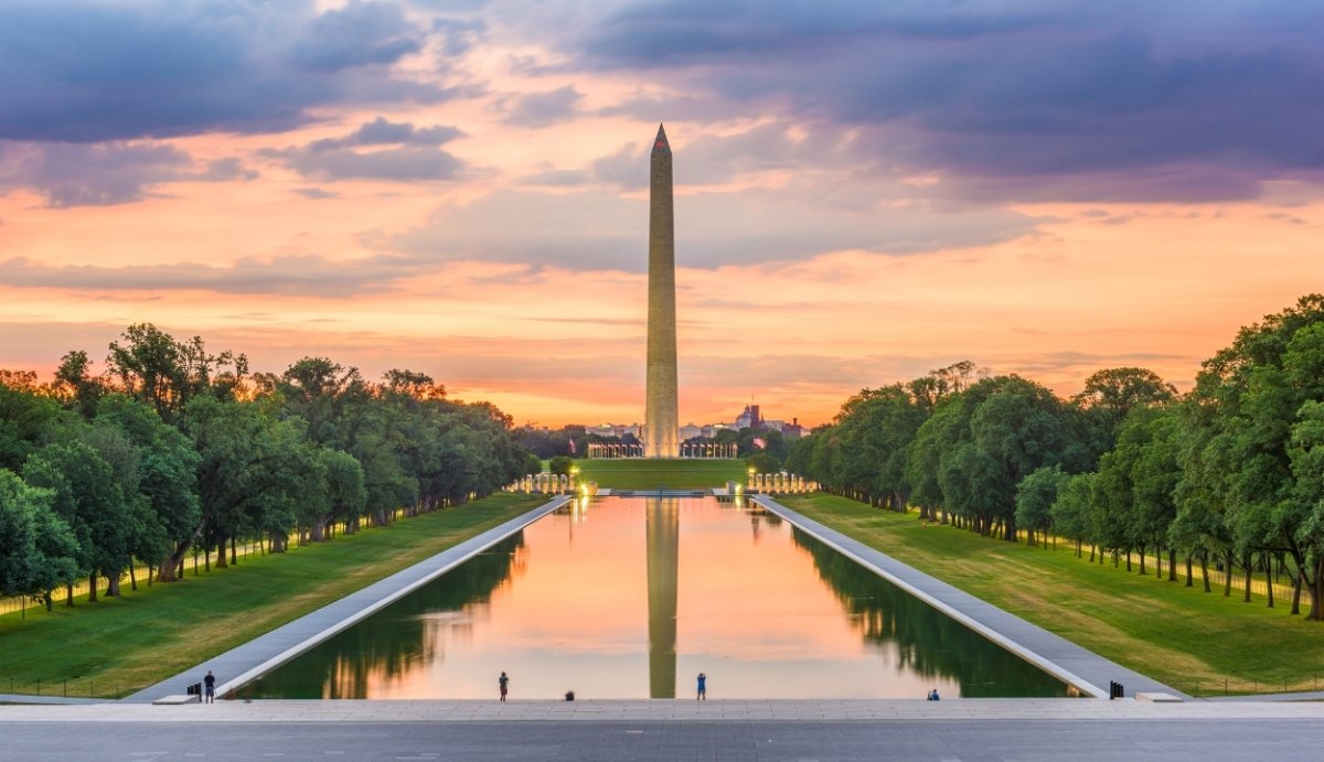 CBD Near Me | Washington D.C. - VO Inc