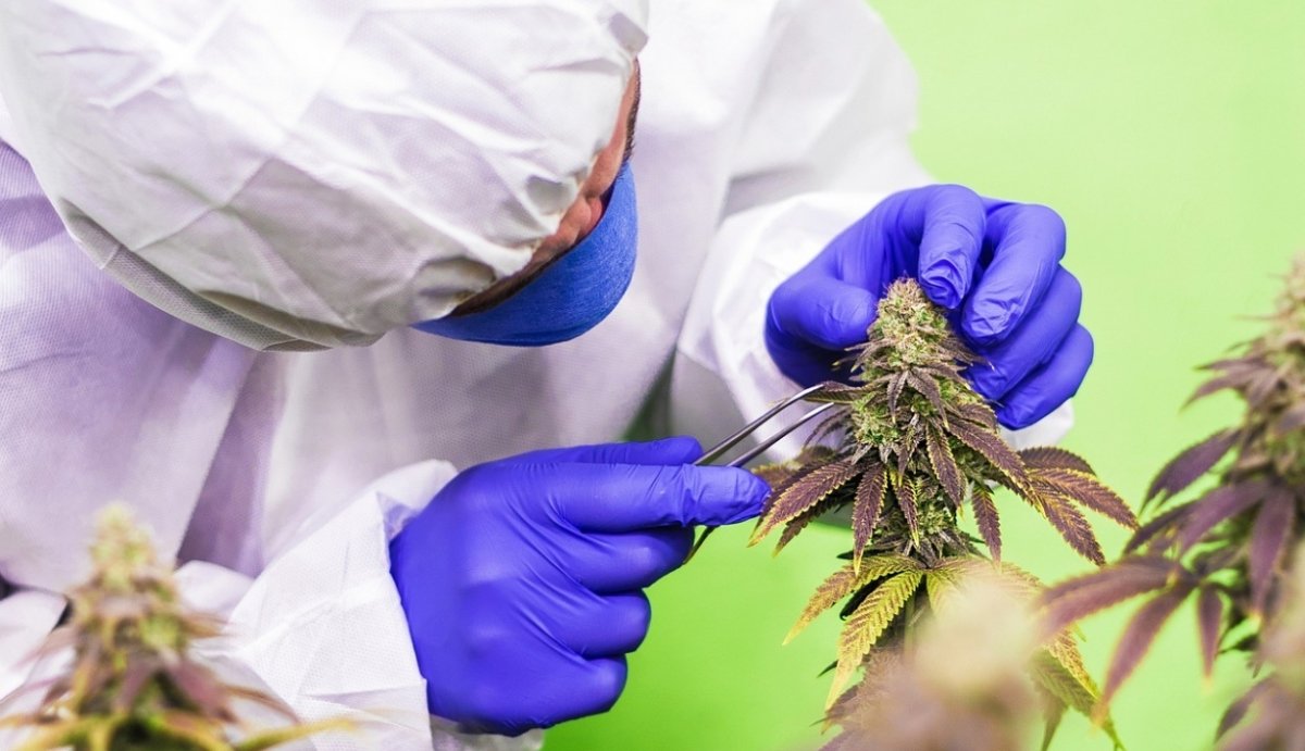 What is D10? A Comprehensive Guide - VO Inc