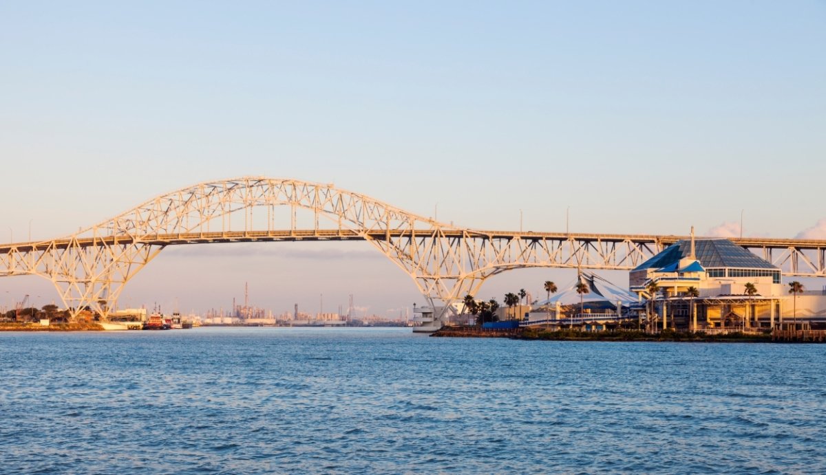 Delta 8 Near Me | Corpus Christi - VO Inc