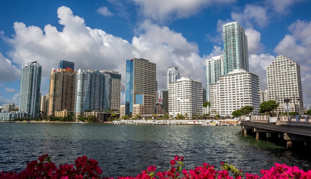 Delta 8 Near Me | Miami - VO Inc