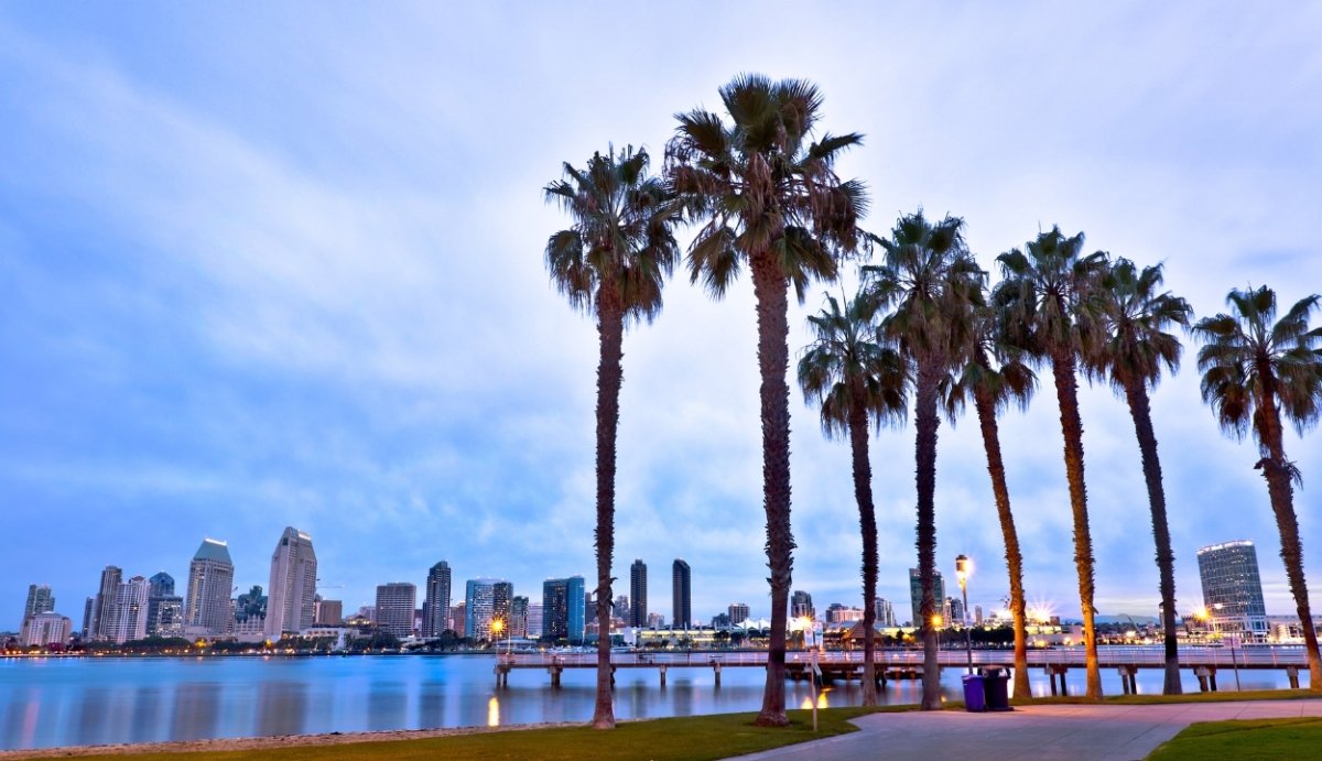 Delta 8 Near Me | San Diego - VO Inc