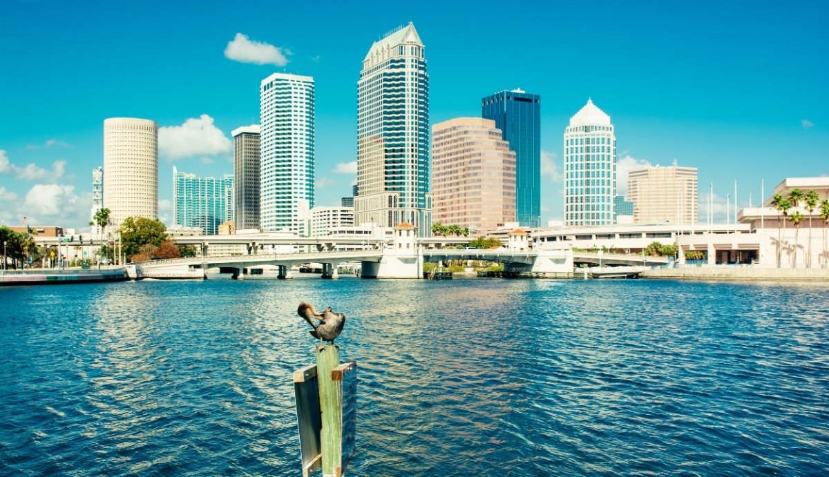 Delta 8 Near Me | Tampa - VO Inc