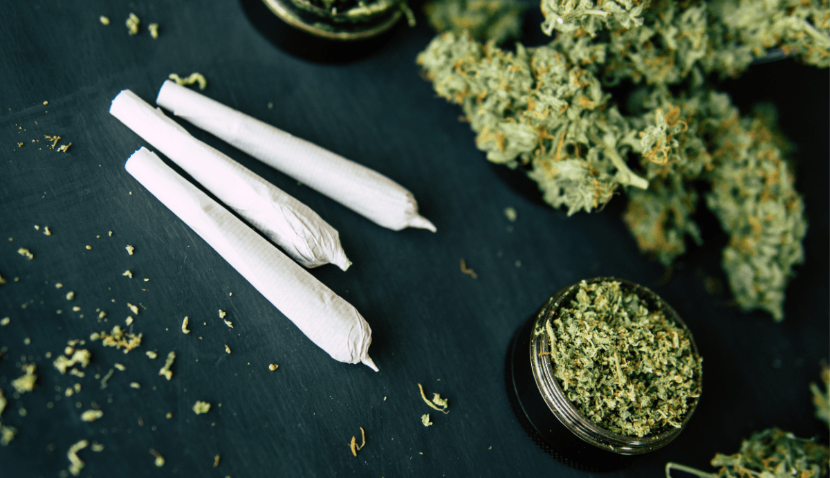 Delta 8 THC Flower: What You Really Need to Know (2023)