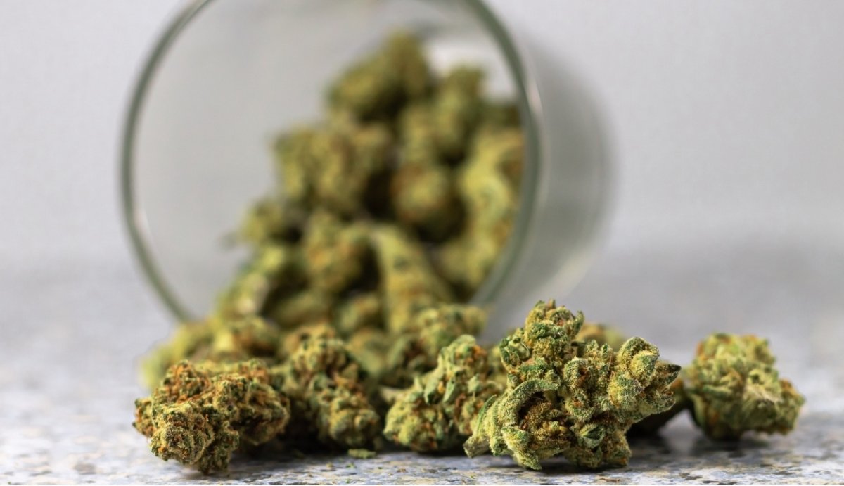 Delta-8 vs THC-O - VO Inc