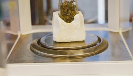 Delta-9-THC Facts and Statistics (2025)