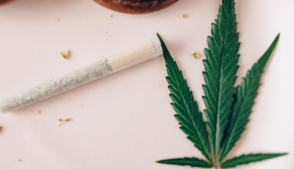 Does Hemp Delta-9 Have the Same Benefits as Weed Delta-9? - VO Inc