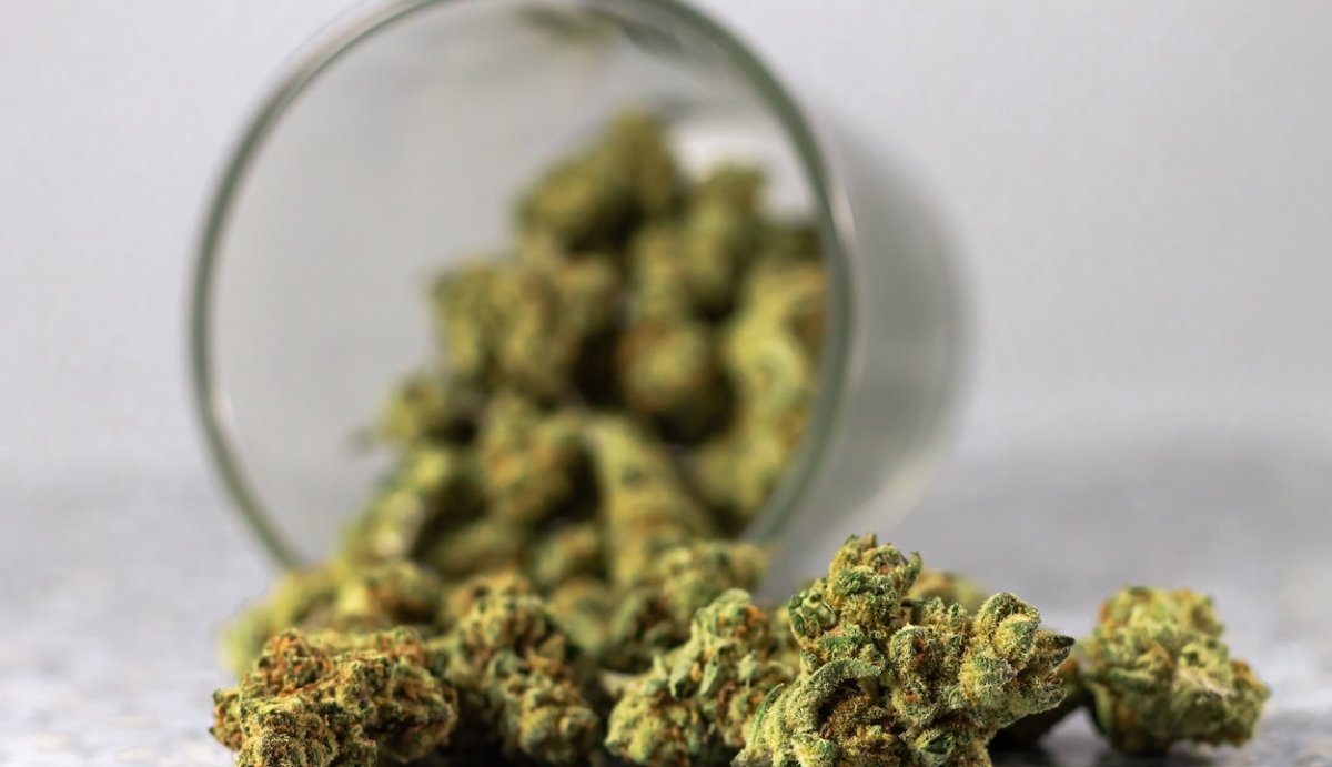 What are Hemp Derived Delta-9 Effects Like? (Compared to traditional THC) - VO Inc