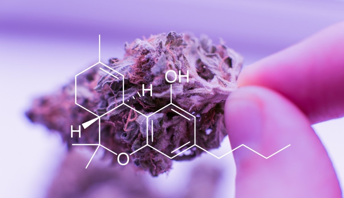 HHC vs THC: Full Comparison + Pros and Cons Chart - VO Inc