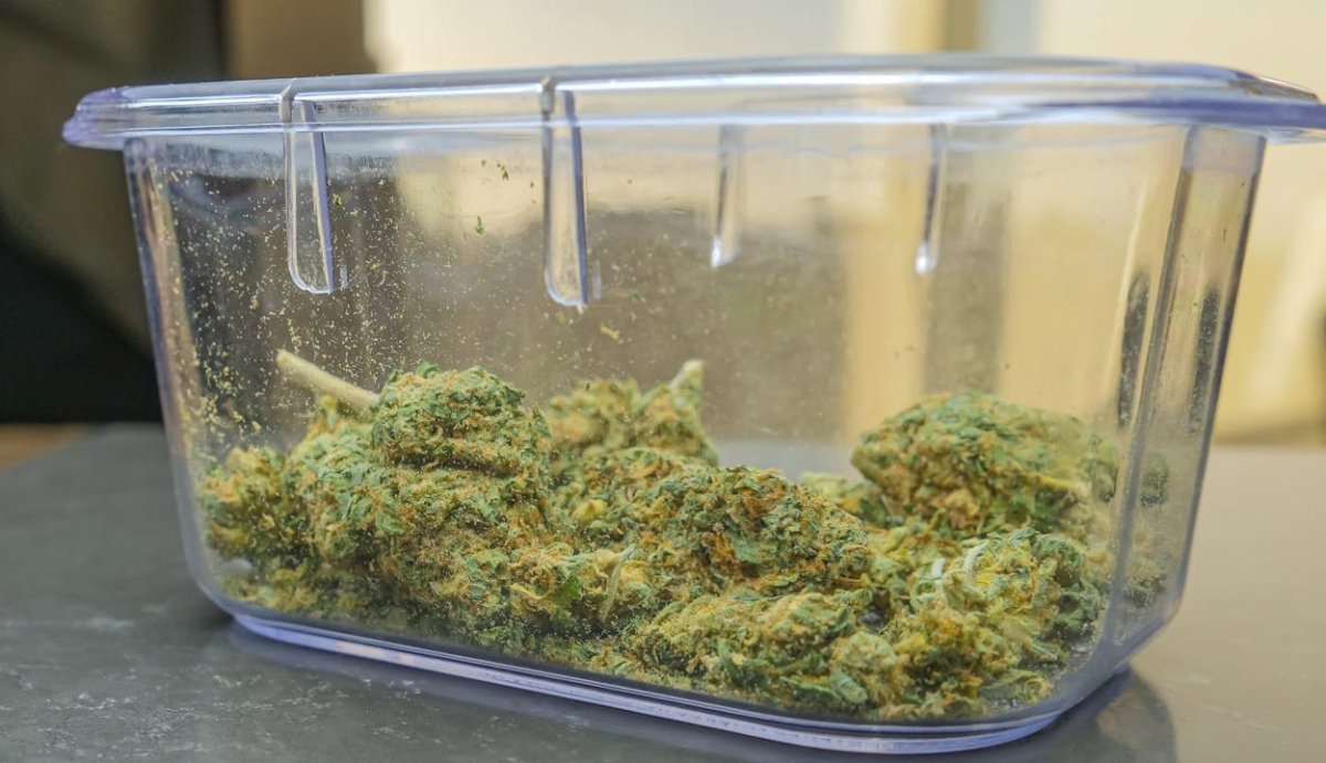 High THCA Percentage Explained (5 Key Facts You Need to Know) - VO Inc