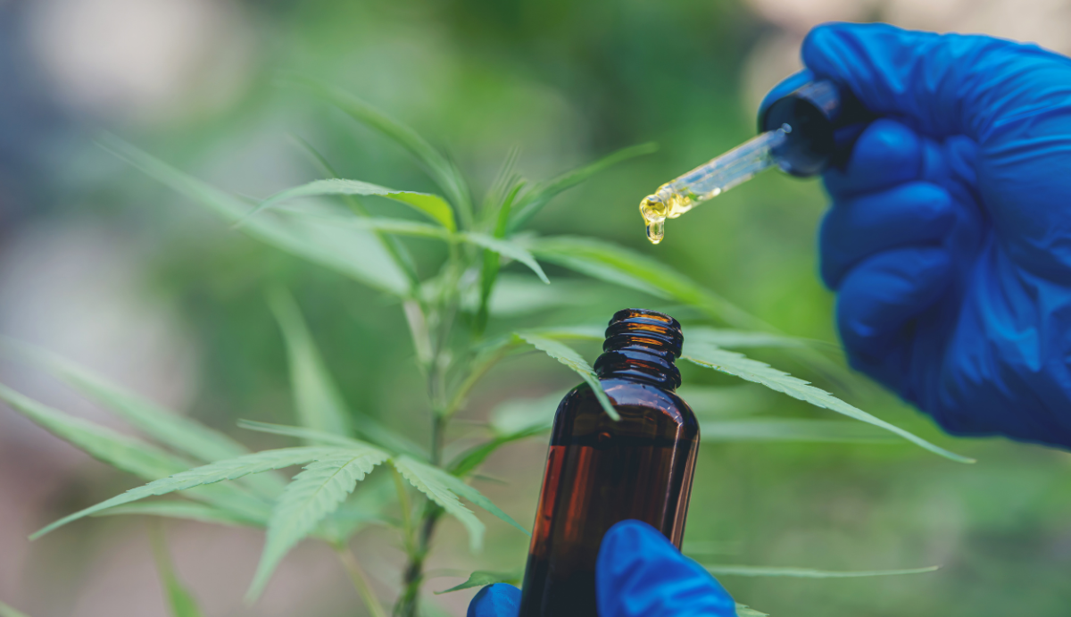 How is CBD Oil Made? - VO Inc