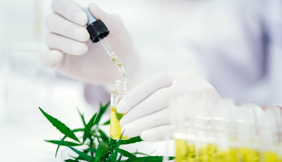 How is THC-O Extracted? - VO Inc