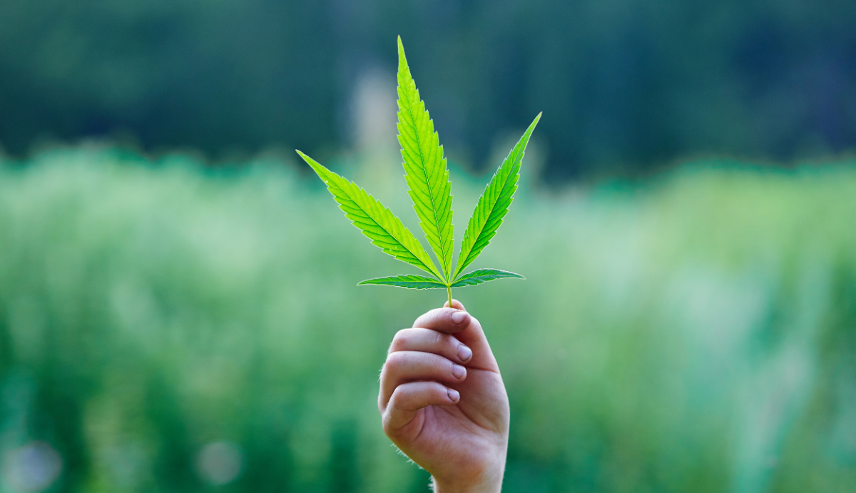 How Long Does Delta-8 Last? - VO Inc