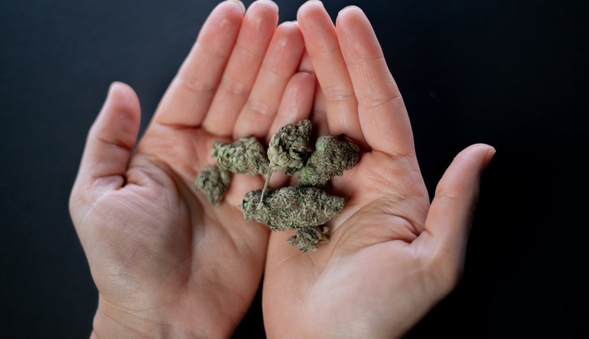 How to Grind Weed Without a Grinder: 5 Ways (+Easy Step-by-Step Guide) - VO Inc