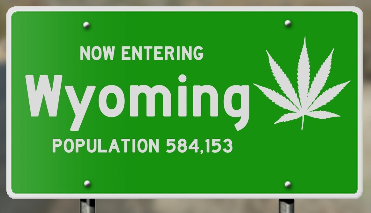 Is CBD Legal in Wyoming? CBD Gummy Laws + Where to Buy - VO Inc