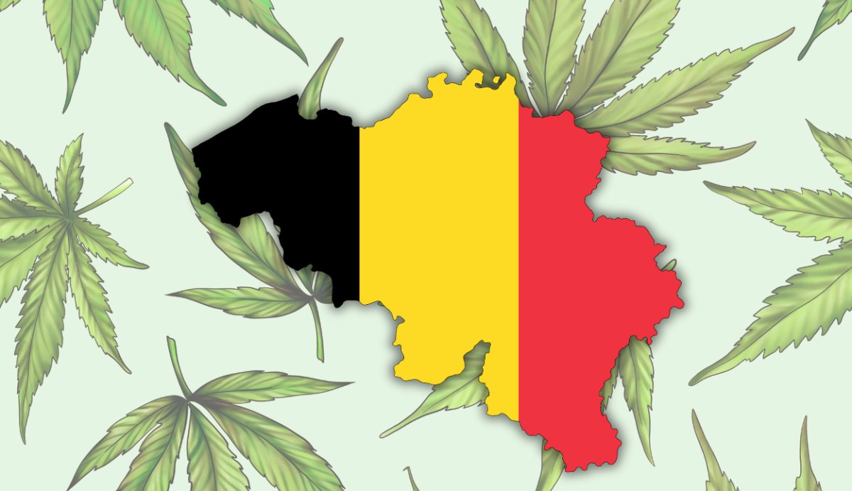 Is Delta 8 Legal in Belgium? (Current Laws + Travel Regulations) - VO Inc