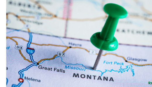 Is Delta-8 Legal in Montana? (2025) - VO Inc