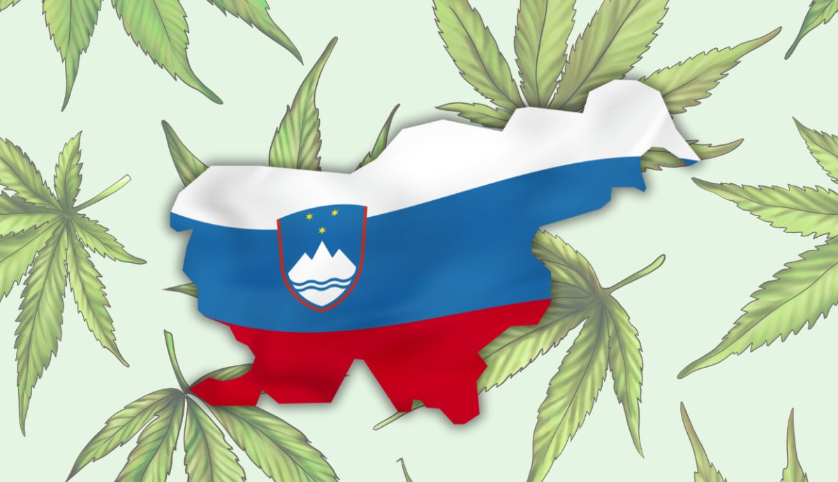 Is Delta 8 Legal in Slovenia? (Laws + Travel Regulations) - VO Inc