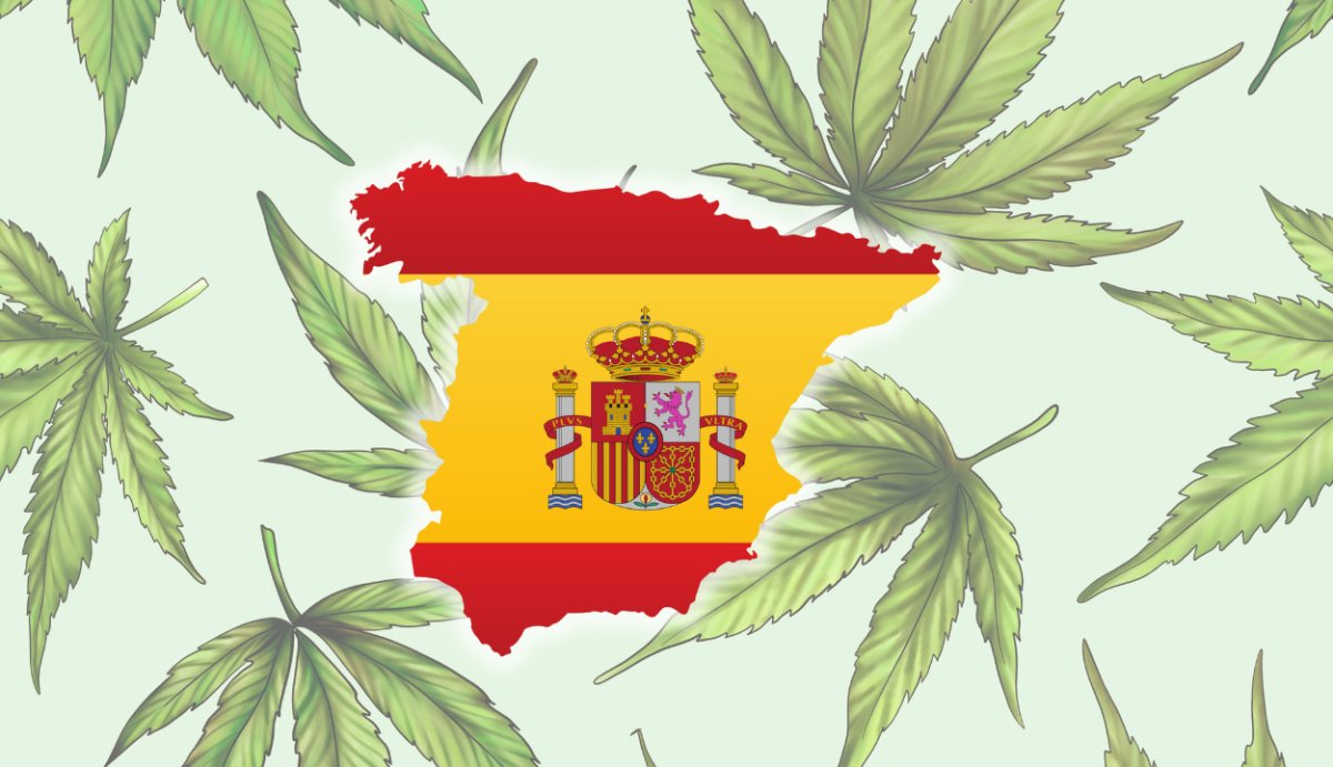 Is Delta 8 Legal in Spain? (Laws + Travel Regulations) - VO Inc