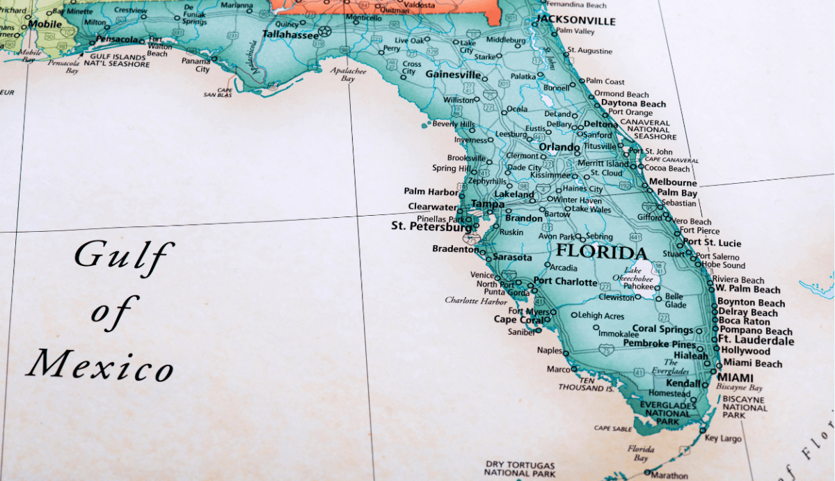 Do They Sell Delta 8 in Florida? What You Need To Know (2024) - Vida Optima™