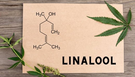 Linalool - VO Inc