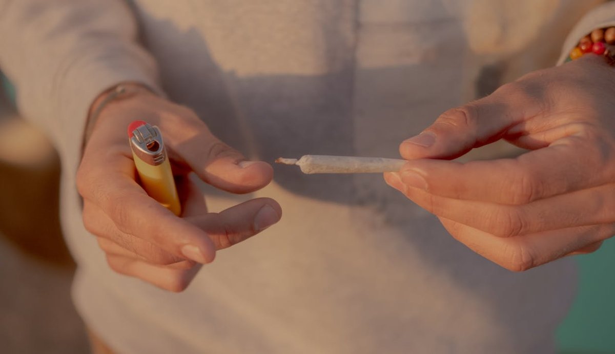 Marijuana Statistics – Cannabis Usage Statistics - VO Inc