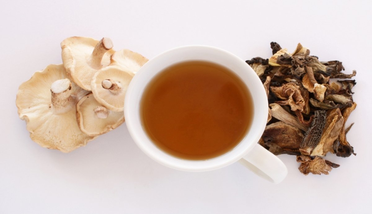 Mushroom Tea Benefits 4 Popular Brews and How to Use Them