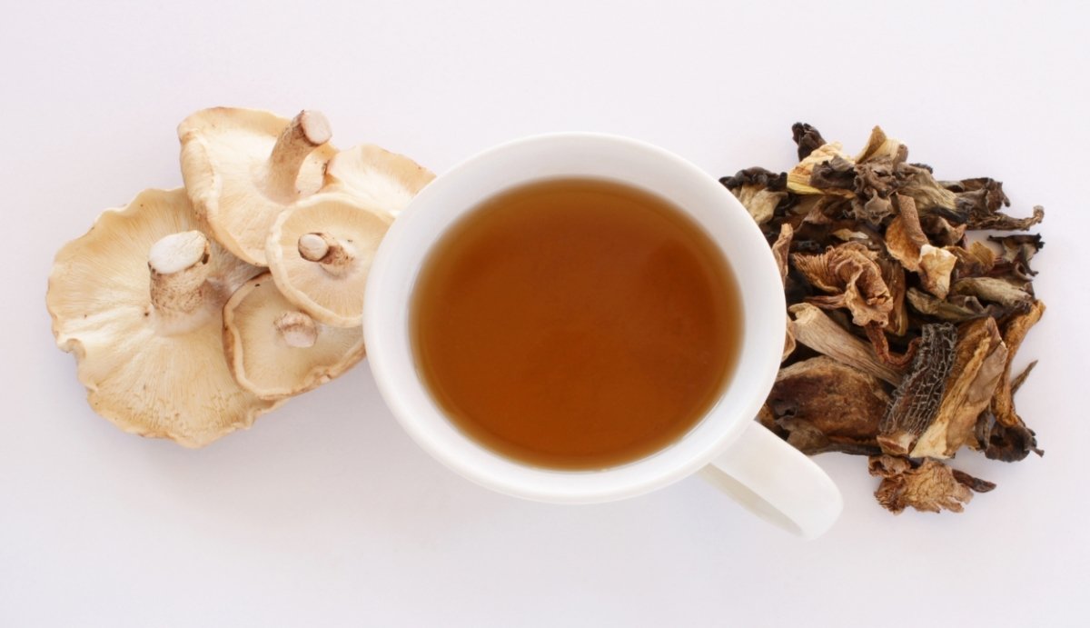 Mushroom Tea Benefits for Energy, Sleep, and More - Vida Optima™