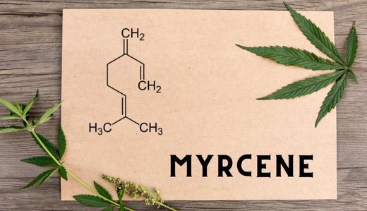 Myrcene - VO Inc