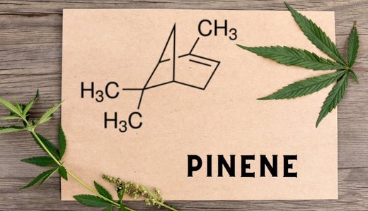 Pinene - VO Inc